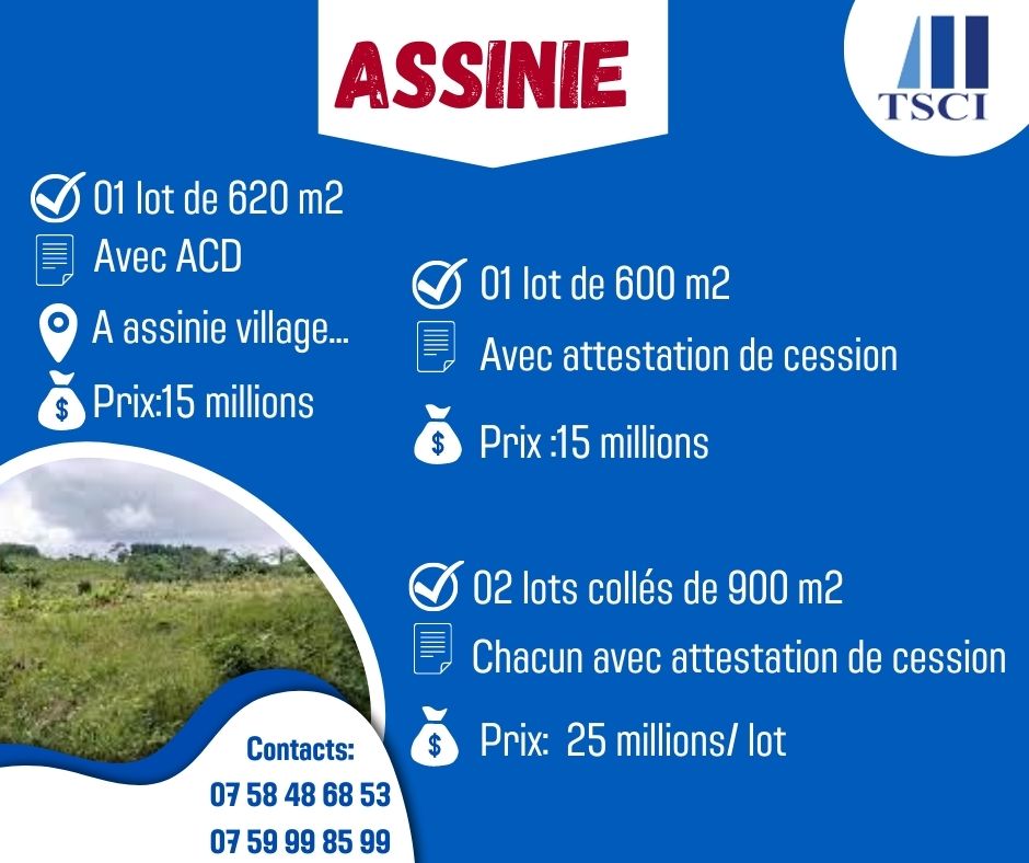 terrain-assinie-tsci-cote-ivoire