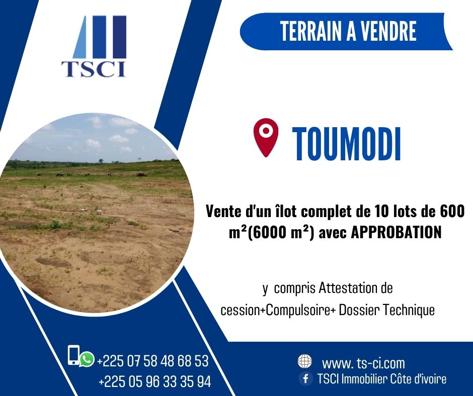 terrain-toumodi-tsci-cote-ivoire